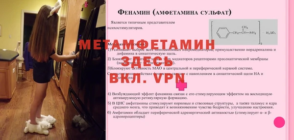 стаф Дмитровск