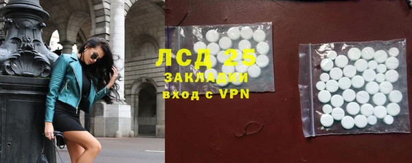 стафф Дмитров