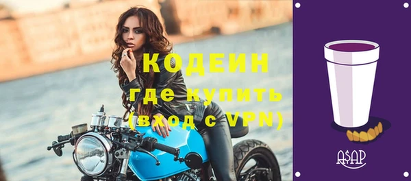 стаф Дмитровск