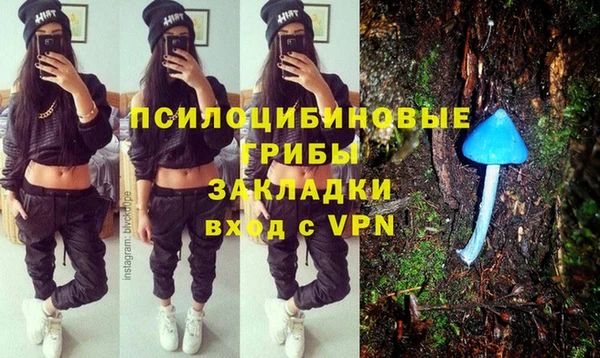 стаф Дмитровск