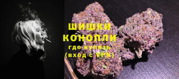 стаф Дмитровск