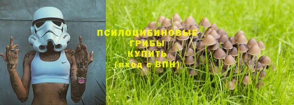 стаф Дмитровск