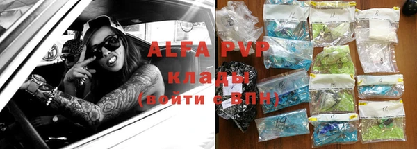 стаф Дмитровск
