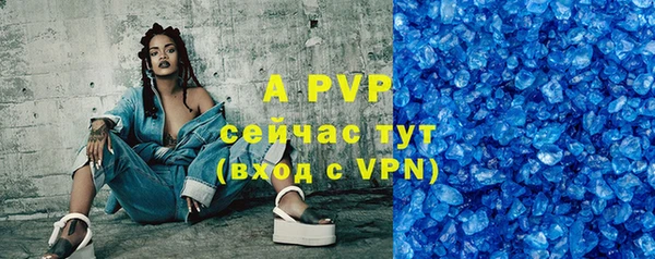шишки Дмитриев