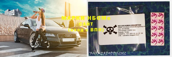 стафф Дмитров