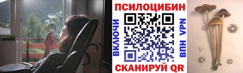 как найти закладки  Донецк  Галлюциногенные грибы Cubensis 
