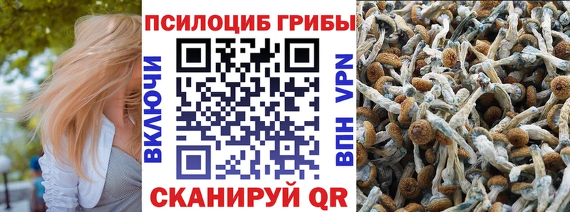 Псилоцибиновые грибы ЛСД Донецк