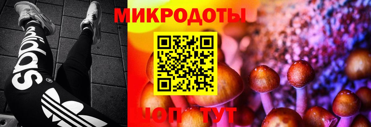 Донецк  Галлюциногенные грибы Psilocybine cubensis  Вход с VPN 